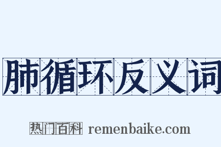 肺循环反义词是什么意思的图片